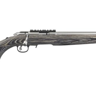 Ruger American Rimfire Target