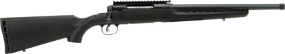 Savage Arms Axis II BLK