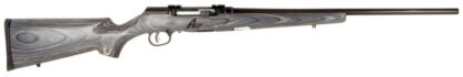 Savage Arms A17 Sporter