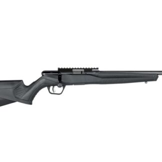 Savage Arms B22 Magnum FV-SR