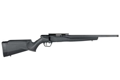 Savage Arms B22 Magnum FV-SR