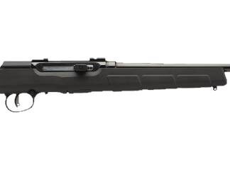 Savage Arms A22 Magnum