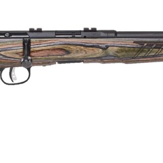 Savage Arms B17 BNS-SR