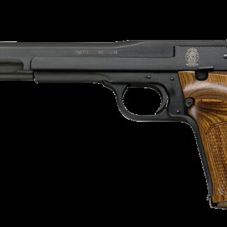 Smith and Wesson 41