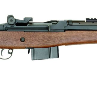 Springfield Armory M1A Scout Squad