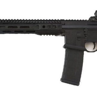 Franklin Armory M4-SBR-L