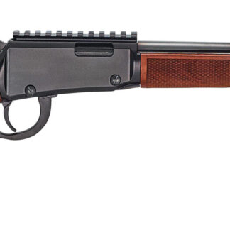 Henry Repeating Arms Magnum Lever Action