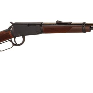 Henry Repeating Arms Varmint Express