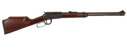 Henry Repeating Arms Varmint Express