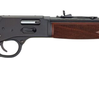 Henry Repeating Arms Big Boy Steel