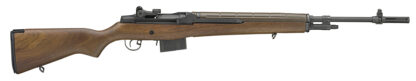 Springfield Armory M1A Loaded