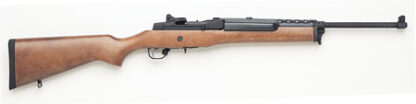 Ruger Mini-14 Ranch