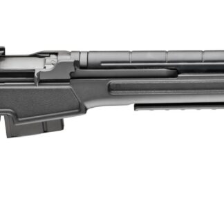 Springfield Armory M1A Precision