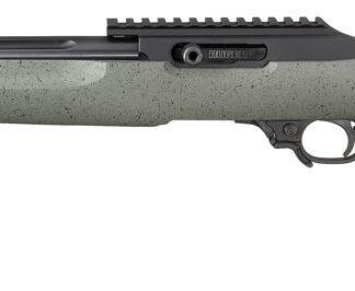 Ruger 10/22 Competition Custom Shop