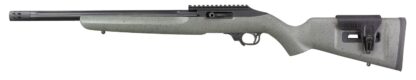 Ruger 10/22 Competition Custom Shop