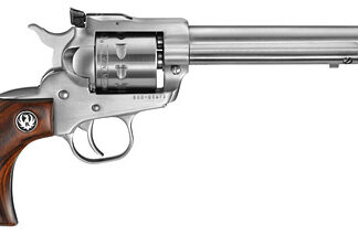 Ruger Single Nine