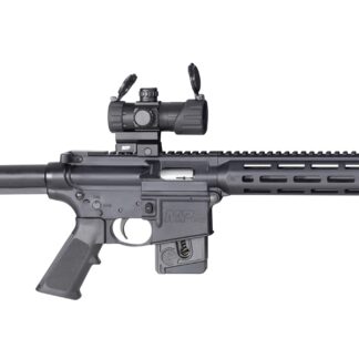 Smith and Wesson M&P15-22 Sport OR