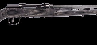 Savage Arms A22