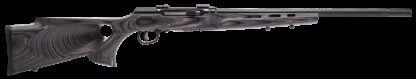 Savage Arms A22