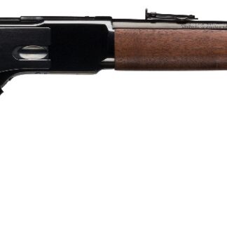 Winchester 1873 Carbine