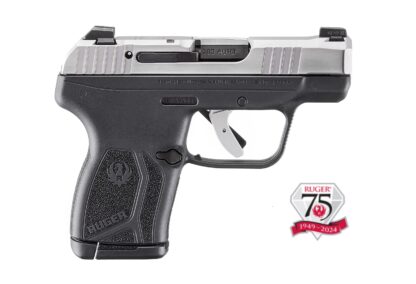 Ruger LCP MAX