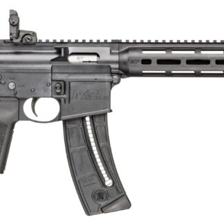 Smith and Wesson M&P15-22 Sport B5