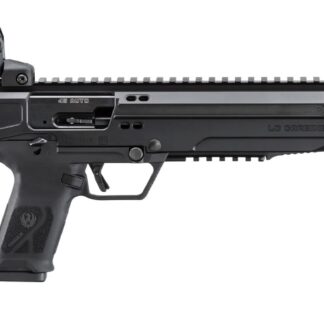 Ruger LC Carbine