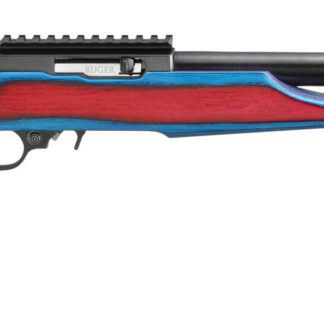 Ruger 10/22 USA Shooting 2024