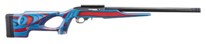 Ruger 10/22 USA Shooting 2024