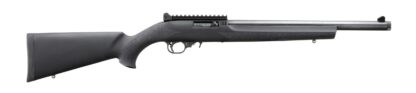 Ruger 10/22 Carbine