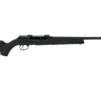 Savage Arms A22