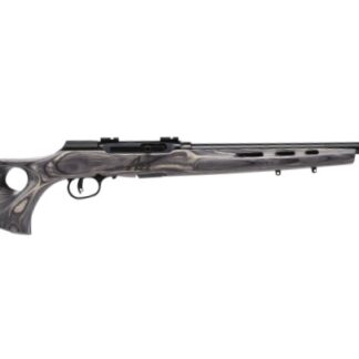 Savage Arms A22