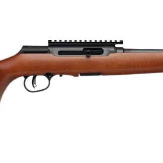 Savage Arms A22