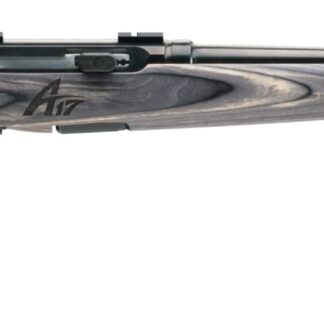 Savage Arms A17 Sporter