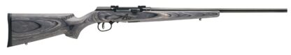 Savage Arms A17 Sporter