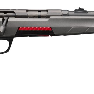 Winchester XPERT