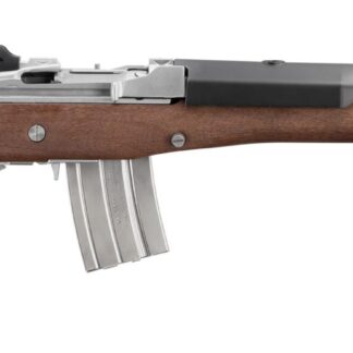 Ruger Mini-14 Tactical