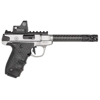 Smith and Wesson SW22 Victory Target