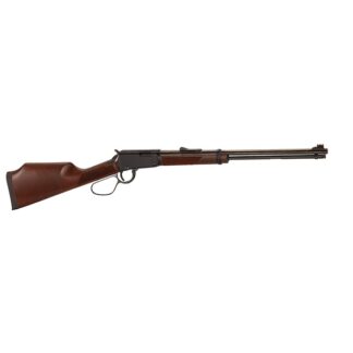 Henry Repeating Arms Varmint Express