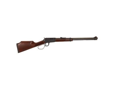 Henry Repeating Arms Varmint Express