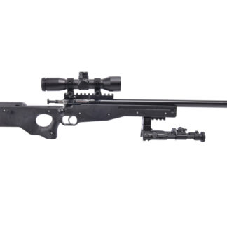 Keystone Sporting Arms Crickett Precision Rifles