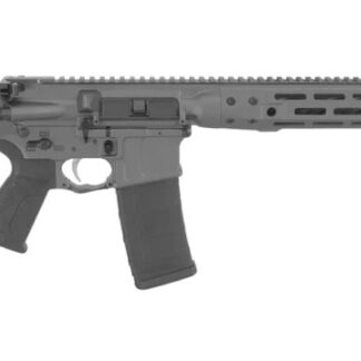 LWRC IC-DI