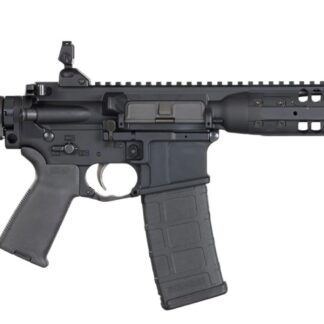 LWRC IC-PSD SBR