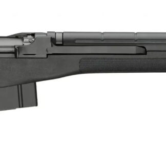 Springfield Armory M1A Standard