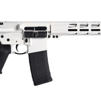 Ruger AR-556 MPR