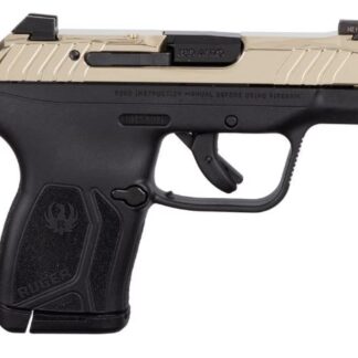 Ruger LCP MAX