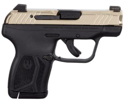 Ruger LCP MAX