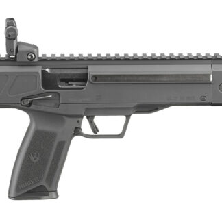 Ruger LC Carbine State Compliant Mdl