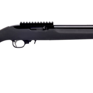 Ruger 10/22 Carbine