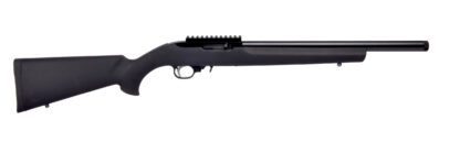 Ruger 10/22 Carbine